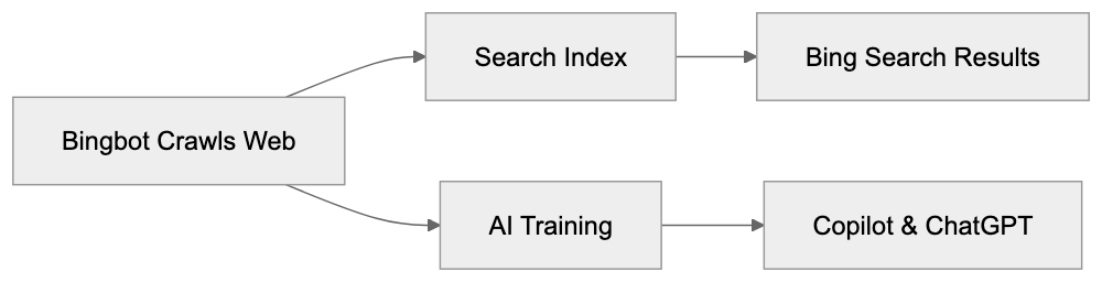 Why Bingbot Exists and Its Purpose Diagram