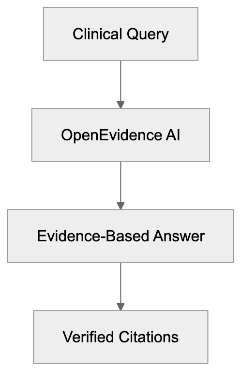 What is OpenEvidence? Diagram