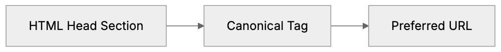 Why Canonical Tags Exist and Their Purpose Diagram